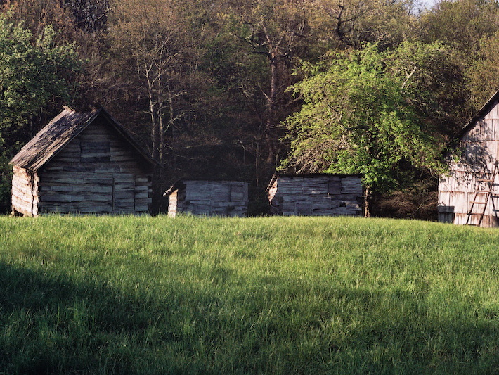 Lige Gibbons Barns